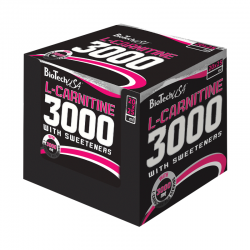 BIOTECH USA L-Carnitine 3000 - 20 amp